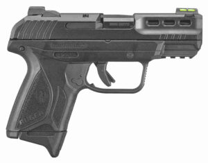 Ruger 3839 Security-380 380 ACP